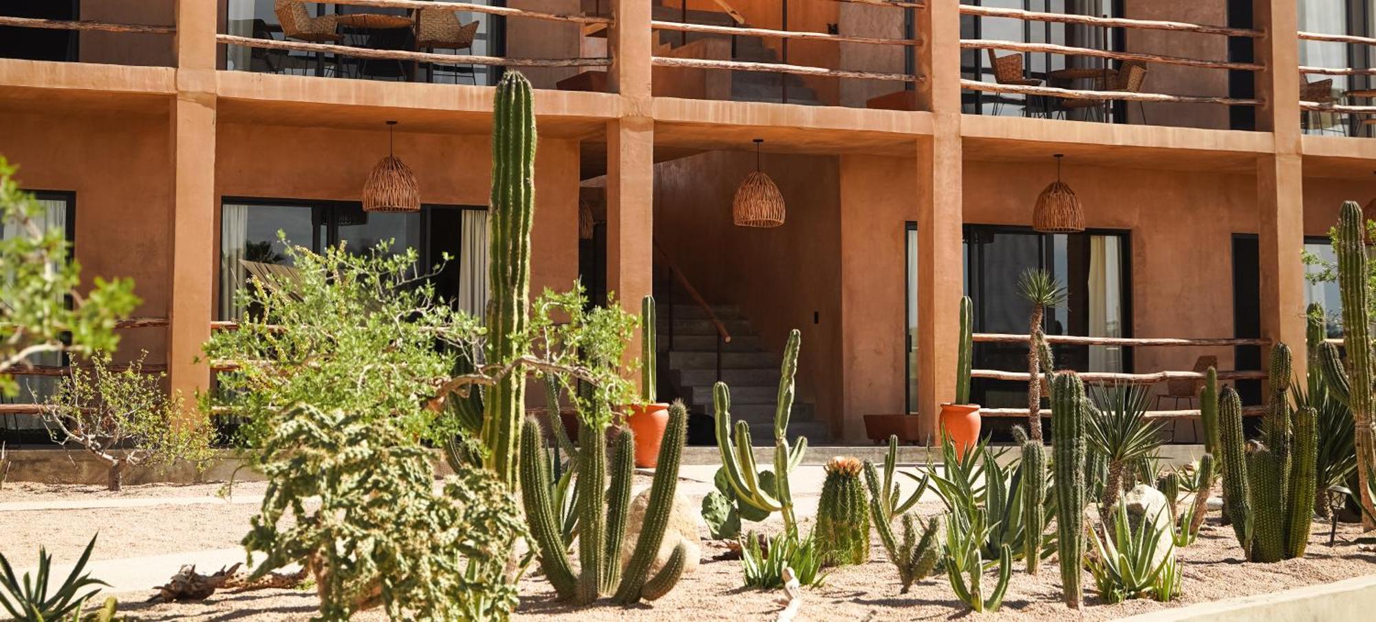 Baja Temple Hotell Todos Santos Exteriör bild