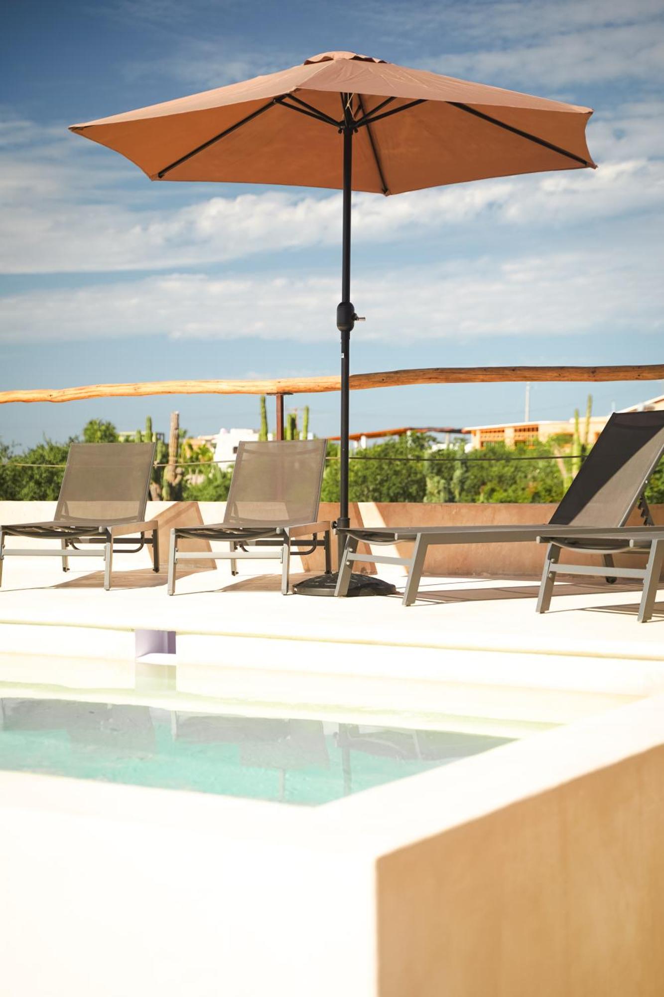 Baja Temple Hotell Todos Santos Rum bild