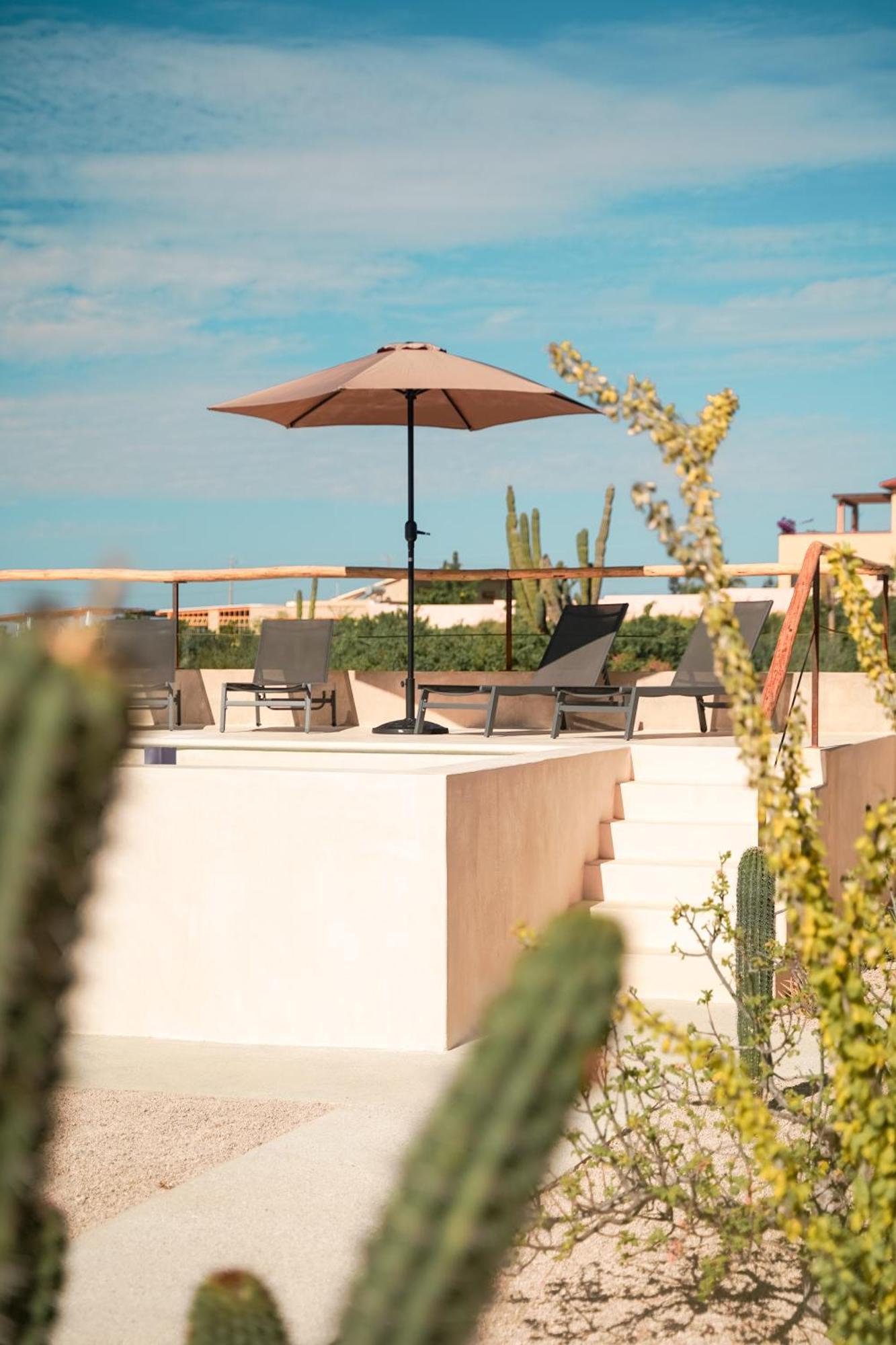 Baja Temple Hotell Todos Santos Rum bild